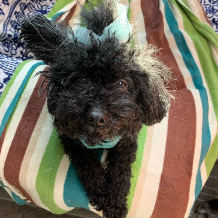 7687ea87 4044 4933 b6ca 1dac3a23c76a 1576624714319