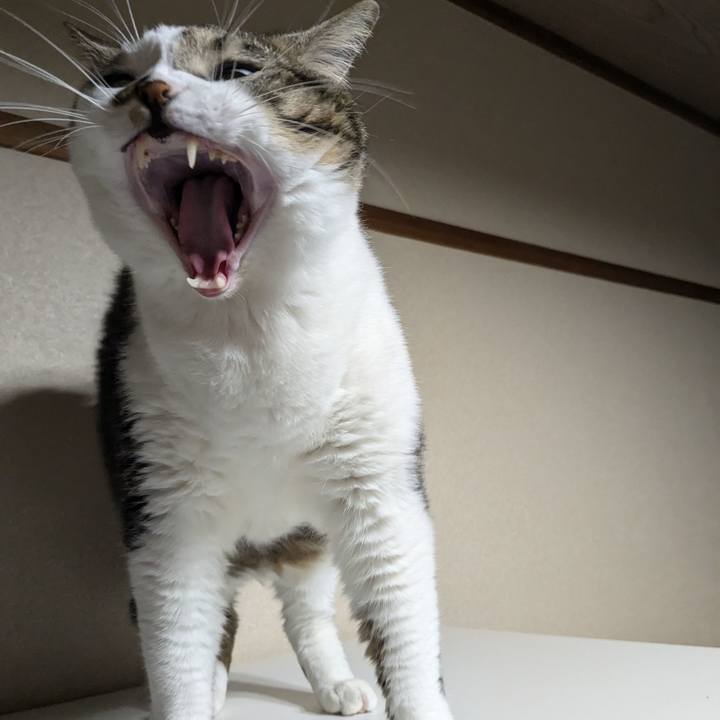 76880249 54ce 45f1 acd5 a4c6475b49c9 1731411123451