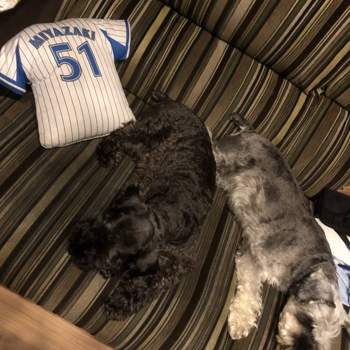 76886006 461b 4192 920f 1325d2e3c877 1564567298738