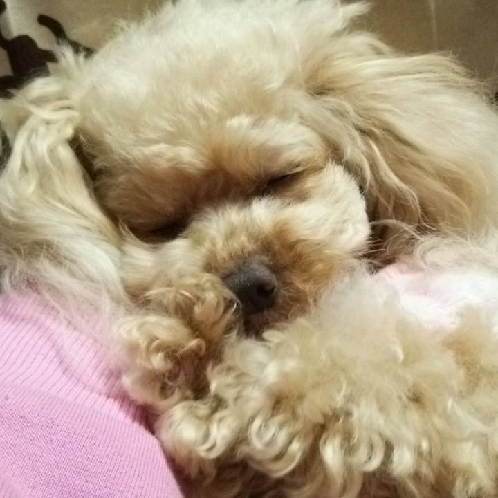 76888039 12d6 4c61 91eb c586fd0fb3f3 1550555874314