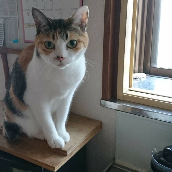 7688ba2b 246d 49e0 9c0f ef16b8d1ce80 1556588973648