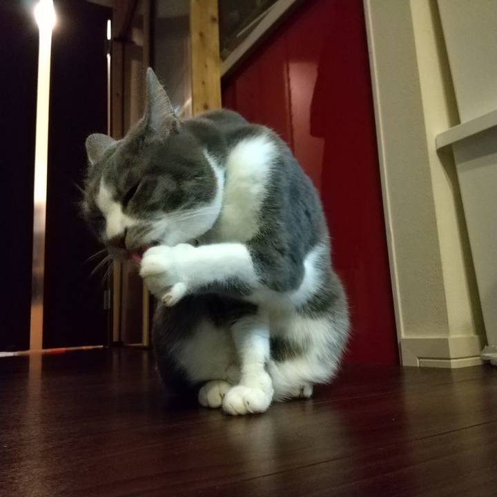 7689019e 94f0 47a8 a652 f0672f2d2f6f 1644585767060