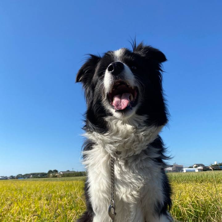 76893b93 b2fb 4118 ae88 664ec4ad0bc4 1601946023816