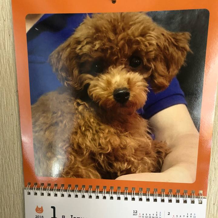 76893e4e 2e0c 4fff 9aa3 e14664f6ea24 1517317811439