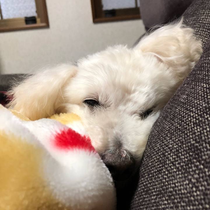 7689811d 2f0e 4158 999b 752c76a1e696 1548250594429