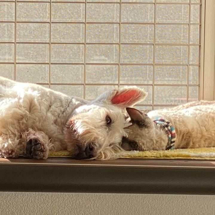 768a3799 5c18 4104 92a6 a17c0fedf488 1639285309339