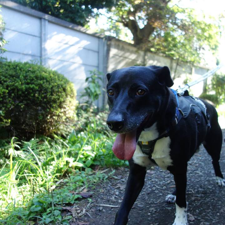 768a3acf e80c 449b 9d48 66d0a2d08563 1664326507783