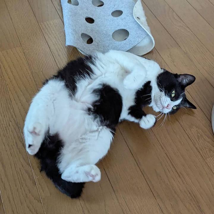 768a73b2 1b74 41e5 a5f2 0b70fa1169f7 1759477218144