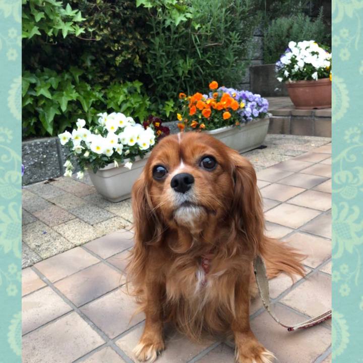 768a8ca1 29d3 49c2 bb92 c027d54cf6ad 1587165597328