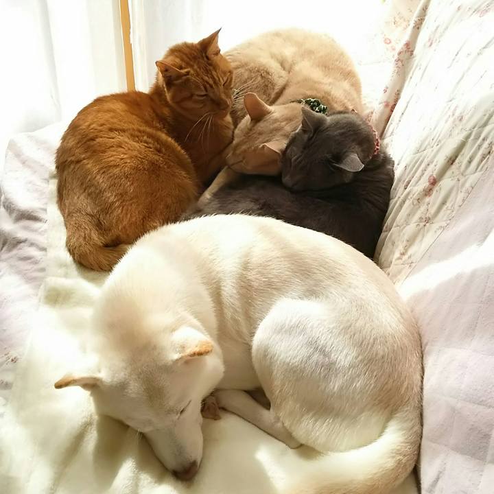 768aabb4 a64b 4b6d b36e 006ddffa4931 1539574278224