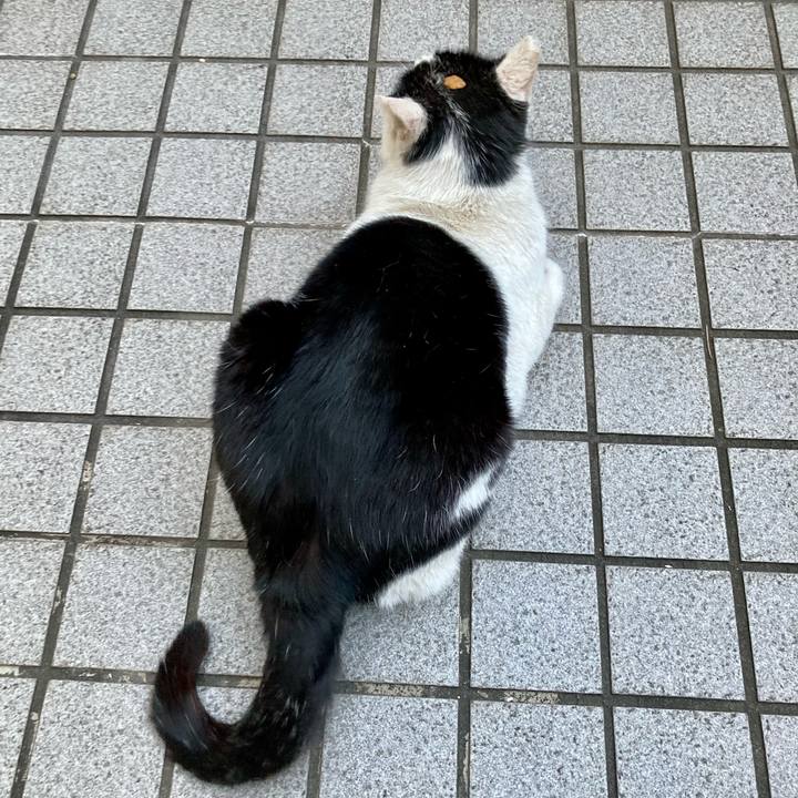 768ac2ad 248c 4375 b103 1f1c2242355e 1776582424607