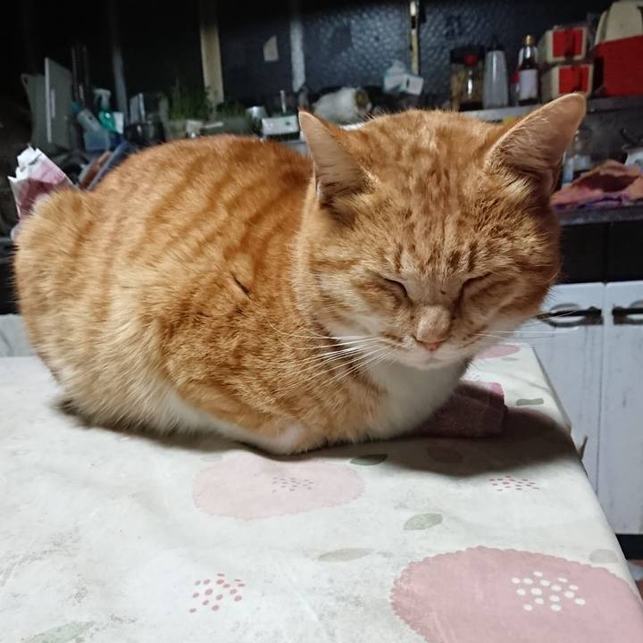 768ad9c4 bb63 48e9 ae1e cbe263d8a725 1580764314512