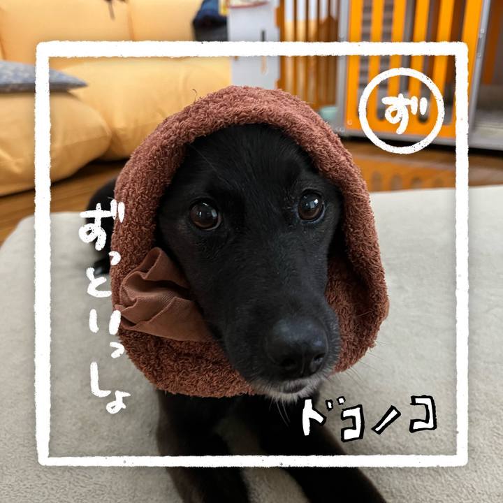 768aed6a 399e 4e39 ab84 a7df3d529e34 1685943583282