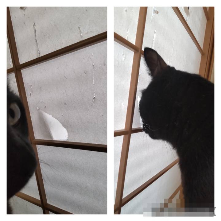 768b31c9 b0fc 4528 9061 2df84a116fe3 1697934145769