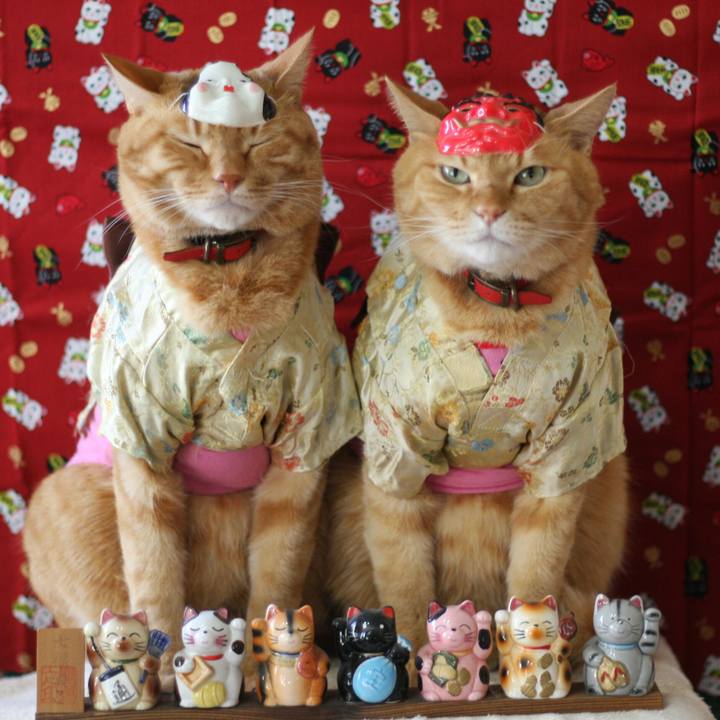 768b6577 6a44 48b3 b8d2 0d8061e7ac76 1517532198121