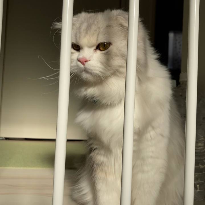 768b6e76 d445 4f4b b773 7818d1f30ee1 1616765245944