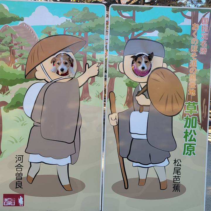 768b72c6 cba6 4285 8b2d 1539432cc66c 1704717197231