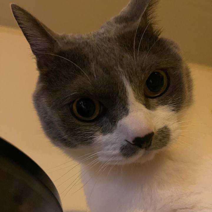 768b8c0f 1ce7 4d25 a9c4 f4548522d078 1741690562617