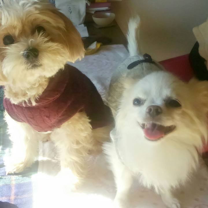 768b9518 2ff4 4de3 a154 1580cd1b08cd 1512256794151