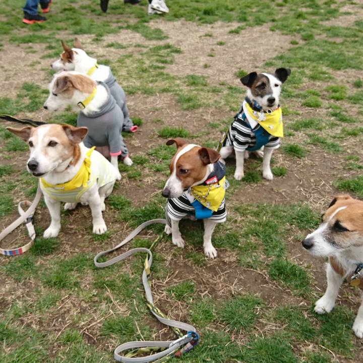 768bc863 b627 4b5c 9279 da8b115730e9 1552185187552