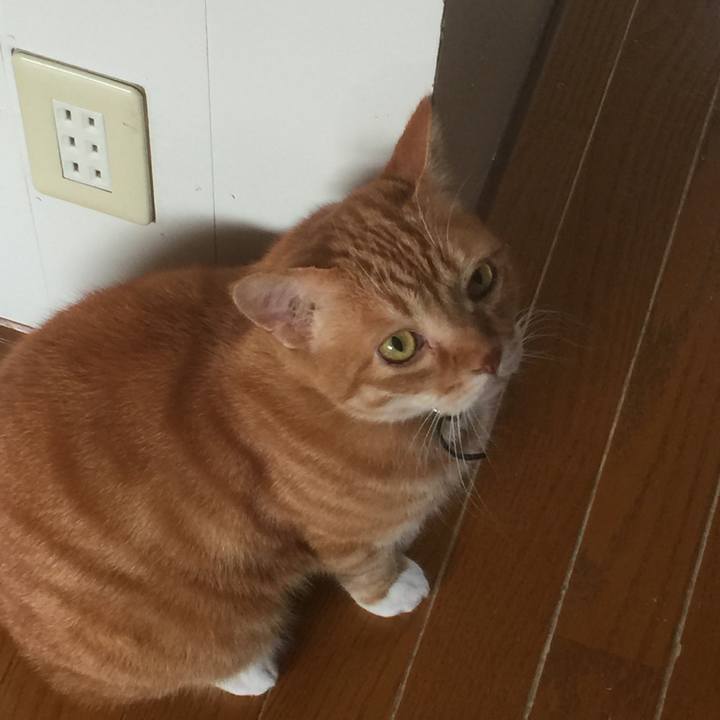 768beaf1 e7d4 4b98 9457 d08fb4185f8f 1556679879387