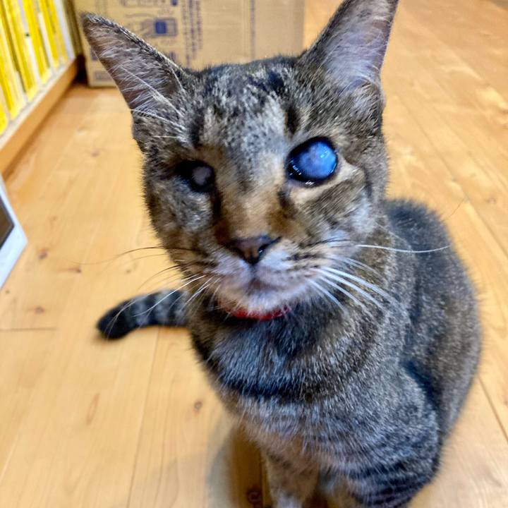 768c1458 31ff 463c 97fa b82b73b63483 1633614808236