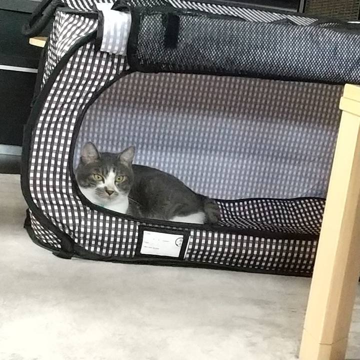 768c3d5c 2480 4e7d bb9f a3c3612c61b3 1600404803533