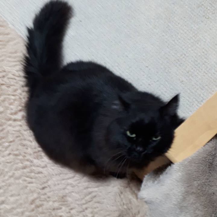 768c6f4b e0b0 45bf a595 f6e8eed75754 1522617930589