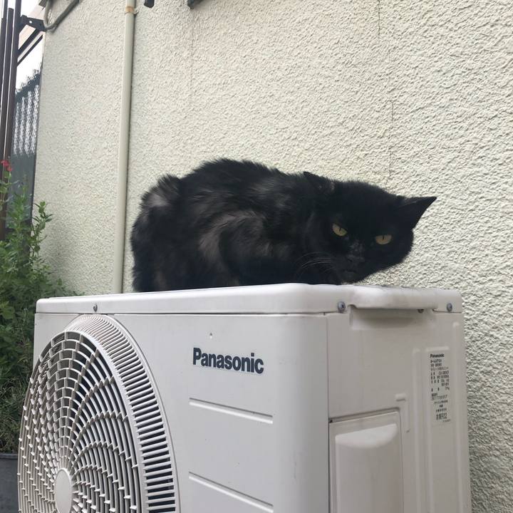 768c76c4 dc4b 4828 a460 e9adf35046d3 1568467295150