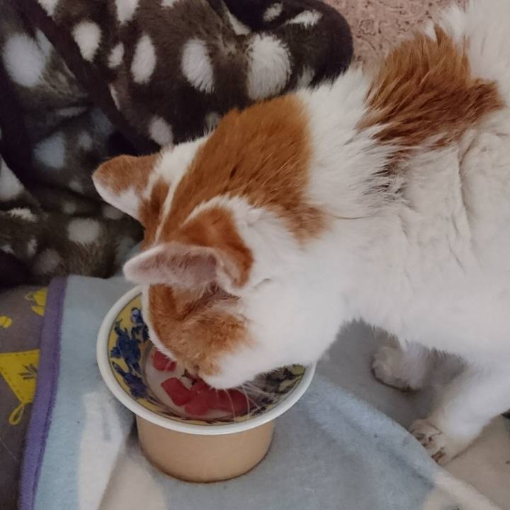 768c8778 b8d7 49fd ad07 35daca3f4fa8 1600558837030