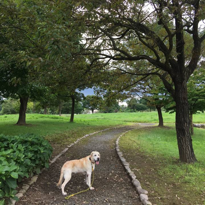 768cc209 233f 42ef b5d1 4b52eddfbd89 1537076584951