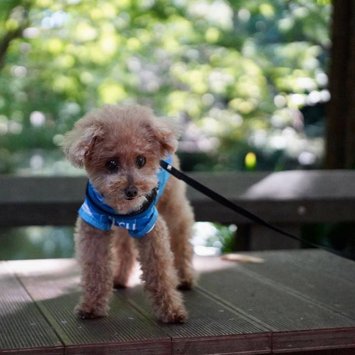 768cda6a 343d 49d8 b4e2 f3ec59d6de06 1665299967752