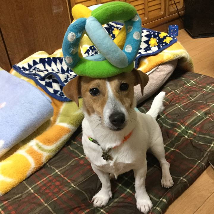 768d2fe5 13cd 4d94 995c 484220d6e9c9 1549964754439