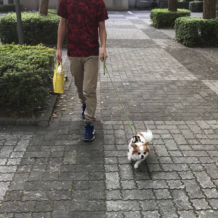 768d62c9 6429 4a31 8c74 65ef1c973958 1522793489123