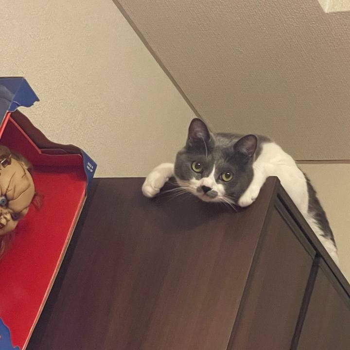 768d6617 de6a 44fa ad72 e2264744408a 1664528023274