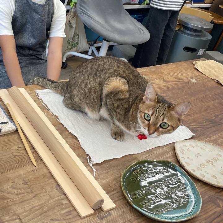 768d7046 3d2a 4b5a af47 ca794fdbde3f 1722171047093