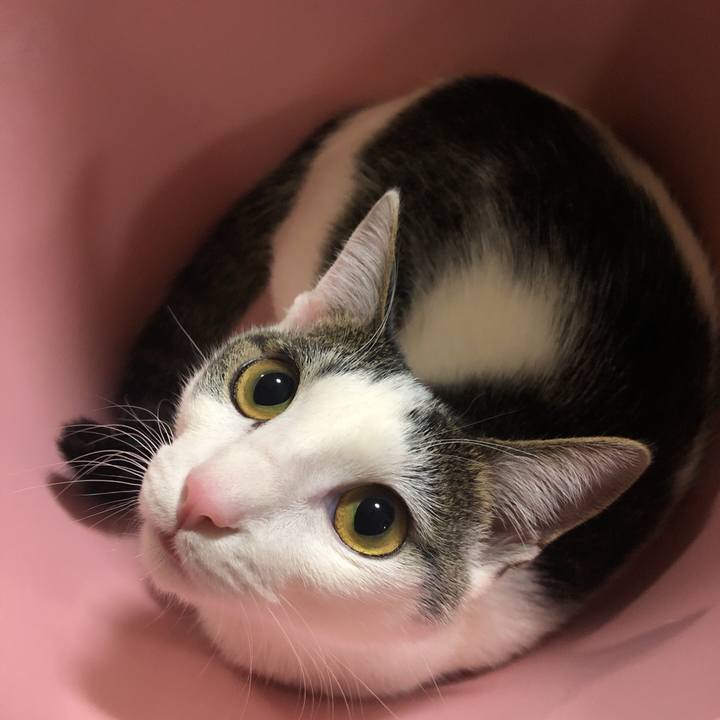 768dddc3 1600 4aeb 8ace 28b16fefbde0 1581120074503