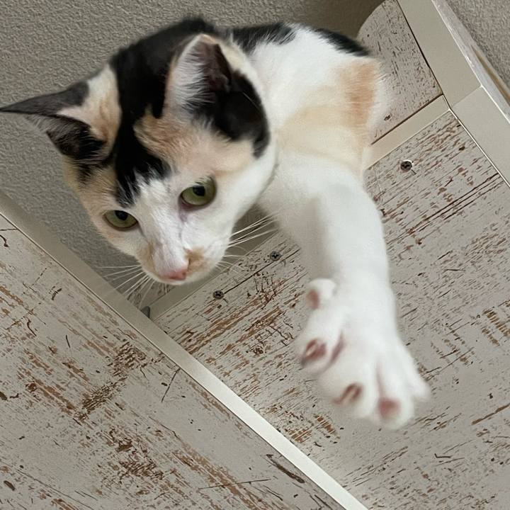 768df5f7 1821 4707 a7a3 dce9fd12c46d 1702947052411