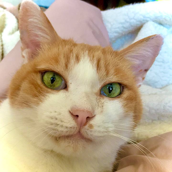 768e909f 065b 4110 a793 d0d566edddc5 1605593532121