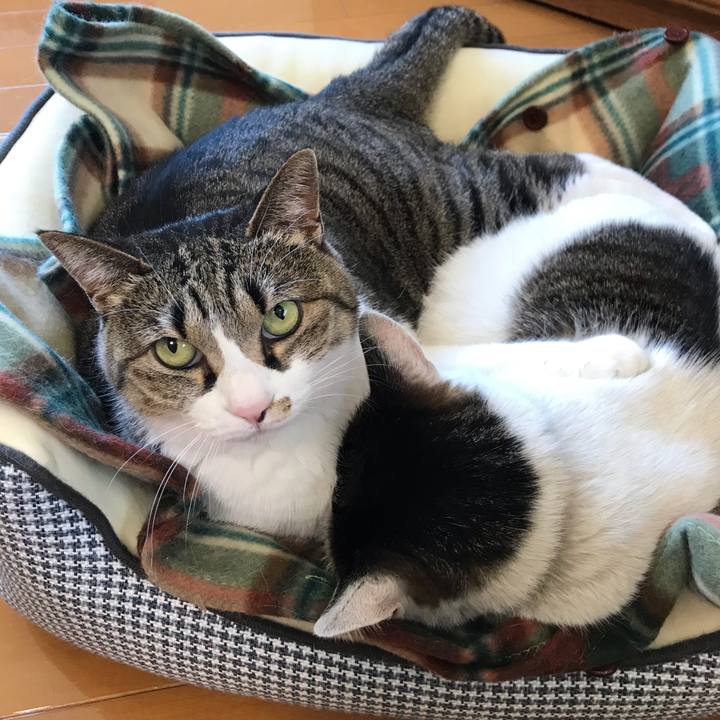 768e95c4 975a 4967 a08b 4ad5a831c754 1586834664014