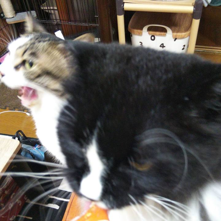 768ec7ec 39f6 45b6 931d b2053c077d85 1658578308104