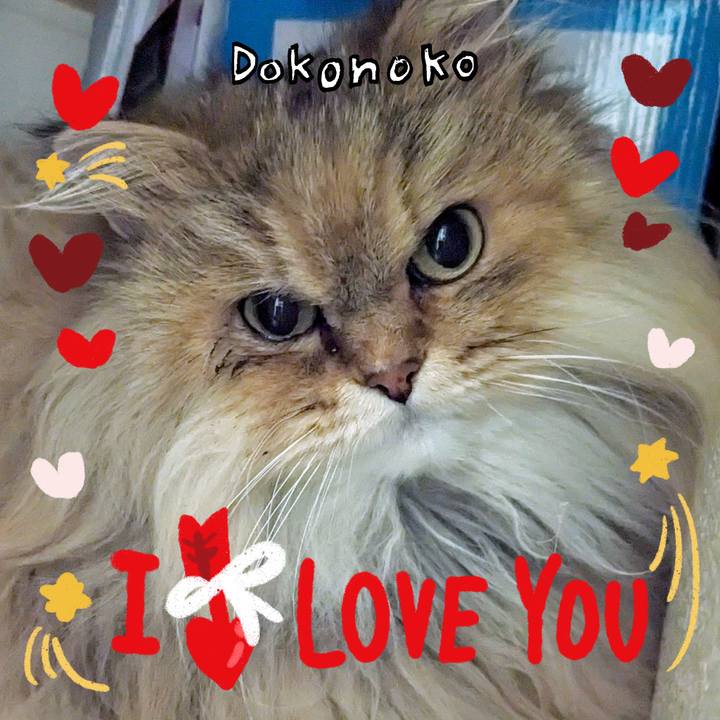 768ed492 6b12 4f4a 953b 35a336e415b1 1707343969587