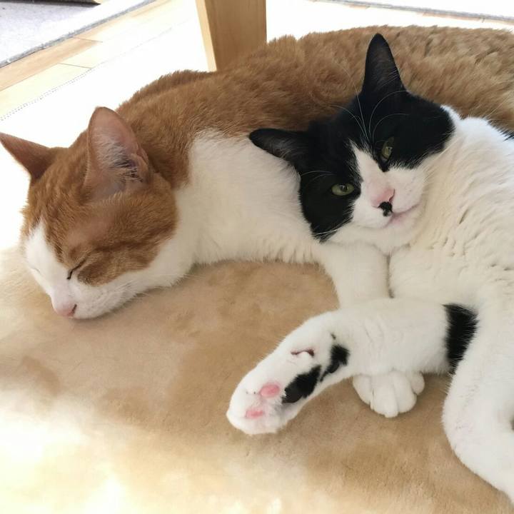 768ee487 a5e8 4b3a 9b18 0f2176714b68 1509369542479