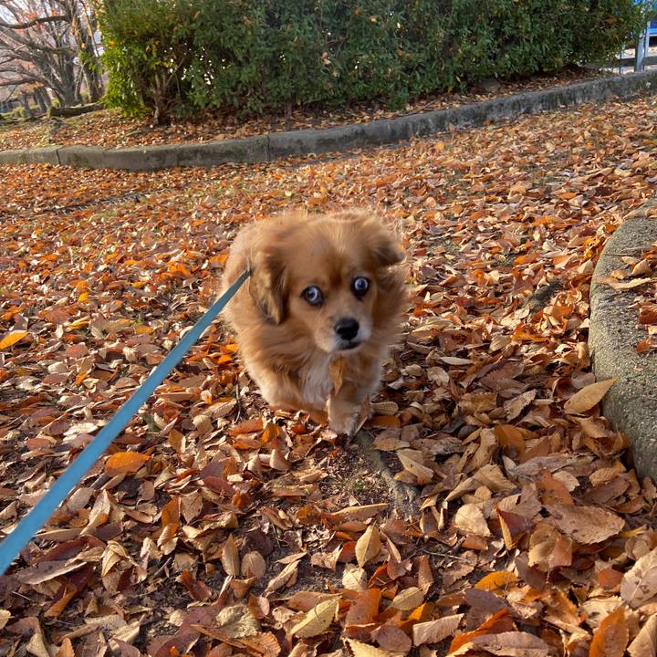 768ef344 5e78 4d65 9d92 9854e043f4f5 1668903548027