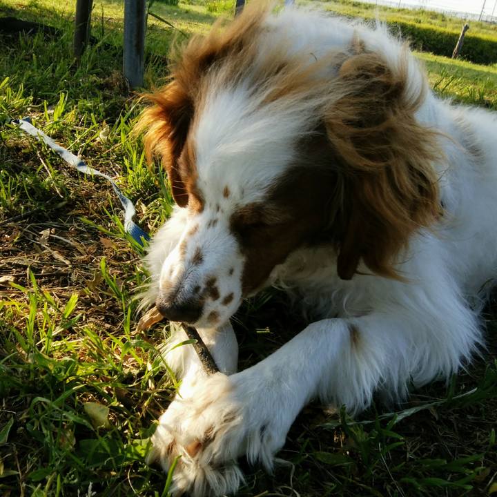 768ef8ac 4c67 4988 835d d37d4f77dbf8 1558698474663