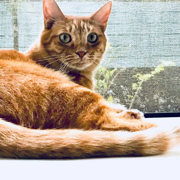 768f045e 55ed 417e 8d07 a02e3d653602 1537778431202