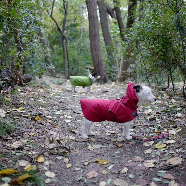 768f0802 8edf 41a5 9ee5 09a6fe485a8a 1509339940838