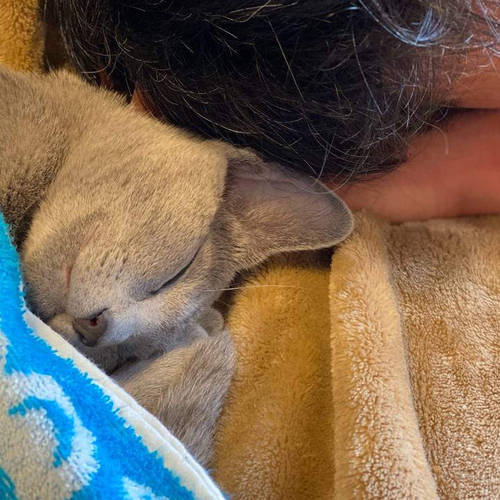 768f1f88 69d3 418e 9292 649a36d69b70 1609750219240