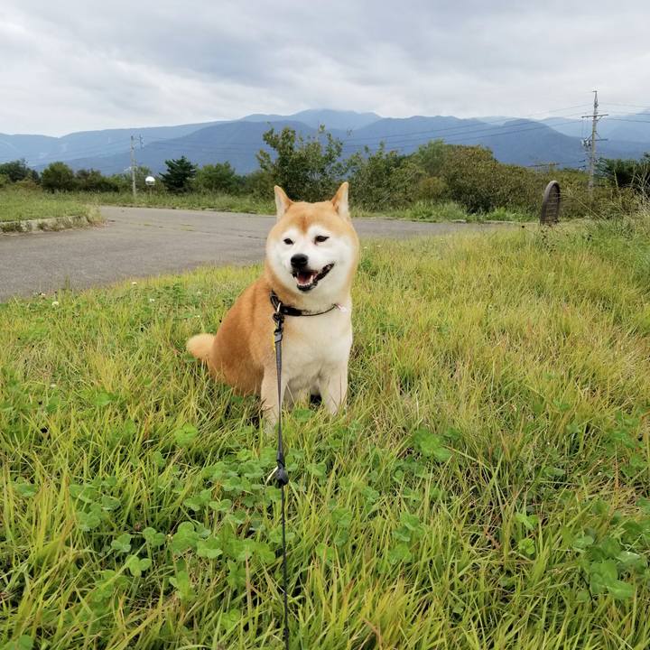 768f45a5 50a5 40e4 9936 d80bb99b80df 1601362281305