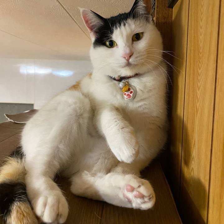 768f5133 9721 4745 86bb 7754d3264b80 1647440854770